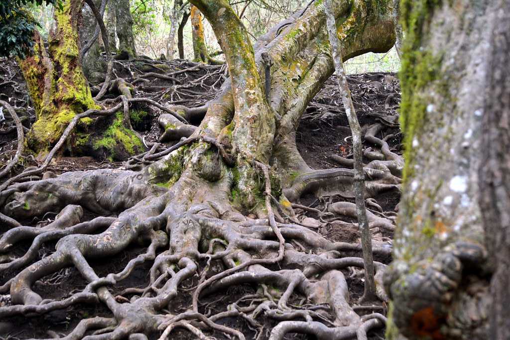 devils-kitchen-img